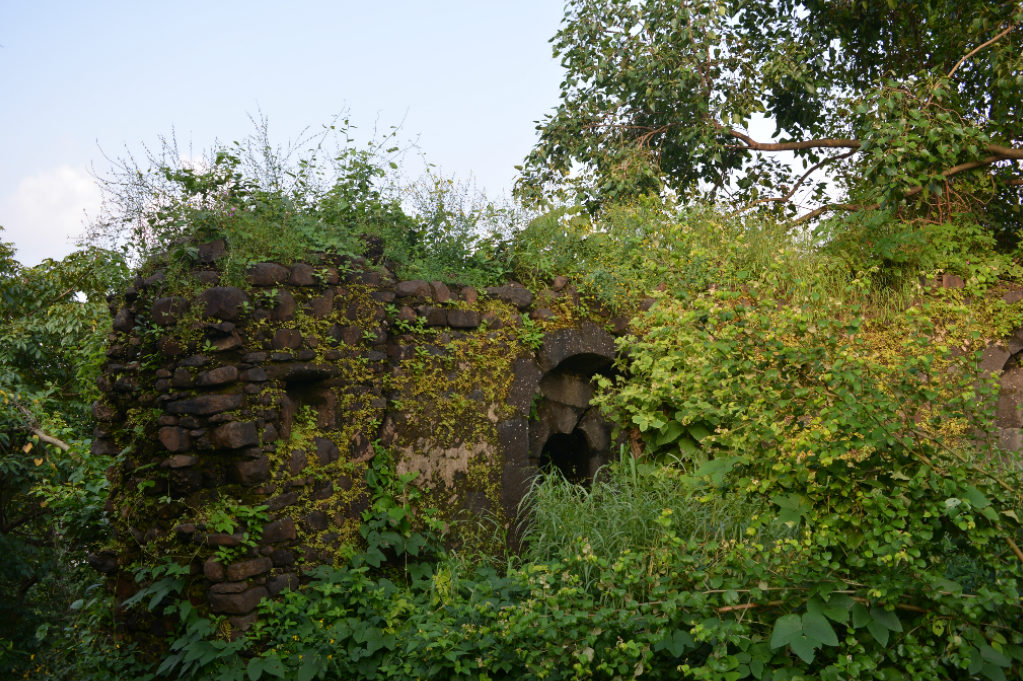 Top of Belapur fort