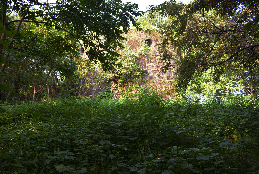 The ruins of belapur fort and watchtower