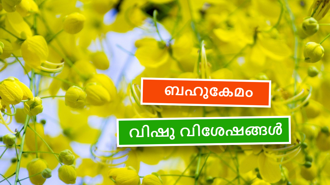 Specialities of Kerala's agricultural and religious festival Vishu