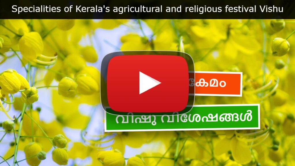 YouTube video about Specialties of Kerala's agricultural and religious festival Vishu